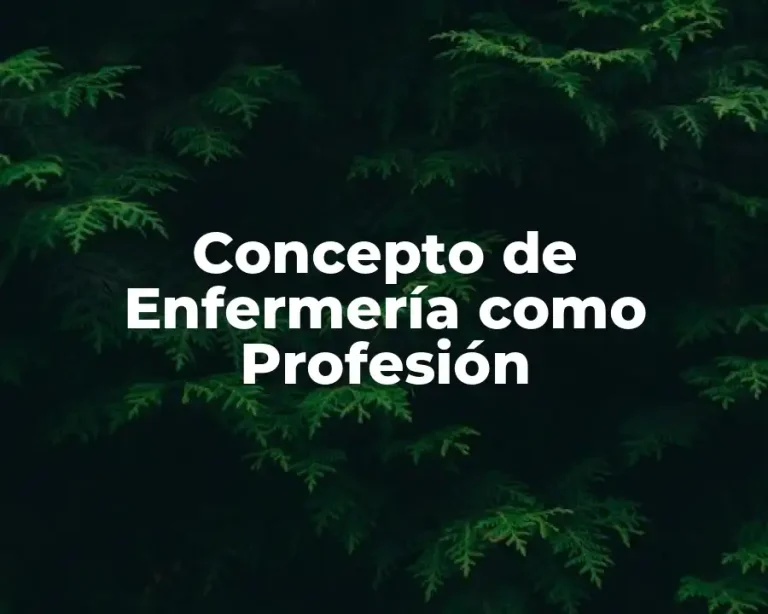 Concepto de Enfermería como Profesión