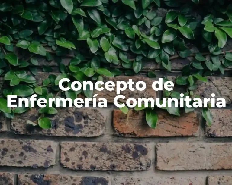 Concepto de Enfermería Comunitaria