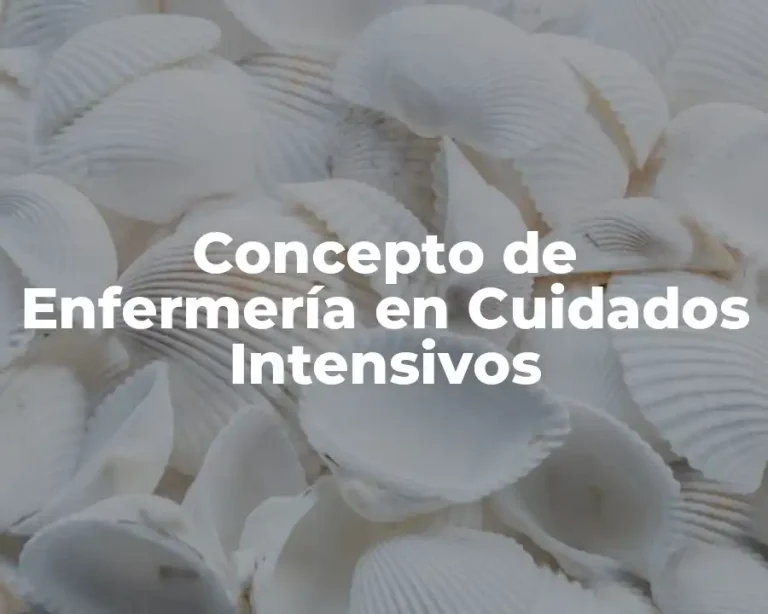 Concepto de Enfermería en Cuidados Intensivos