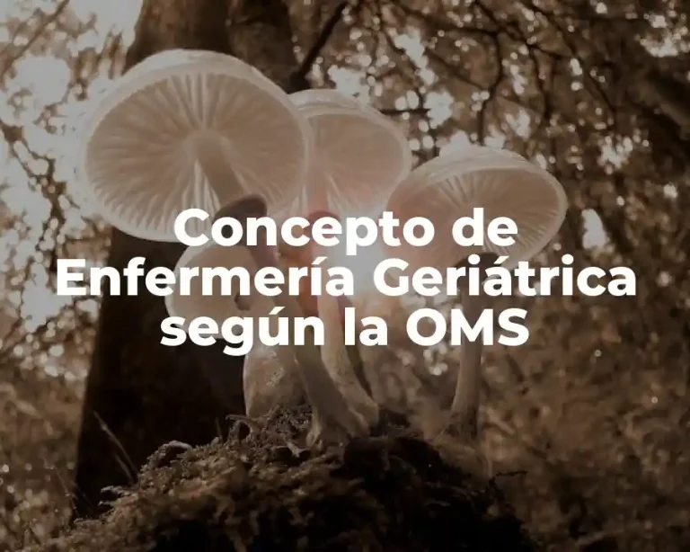 Concepto de Enfermería Geriátrica según la OMS