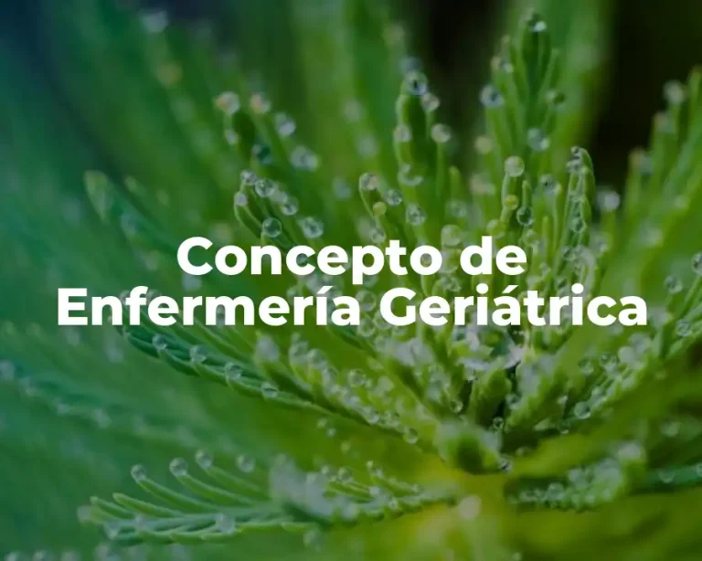 Concepto de Enfermería Geriátrica
