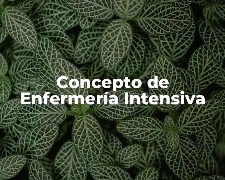 Concepto de Enfermería Intensiva