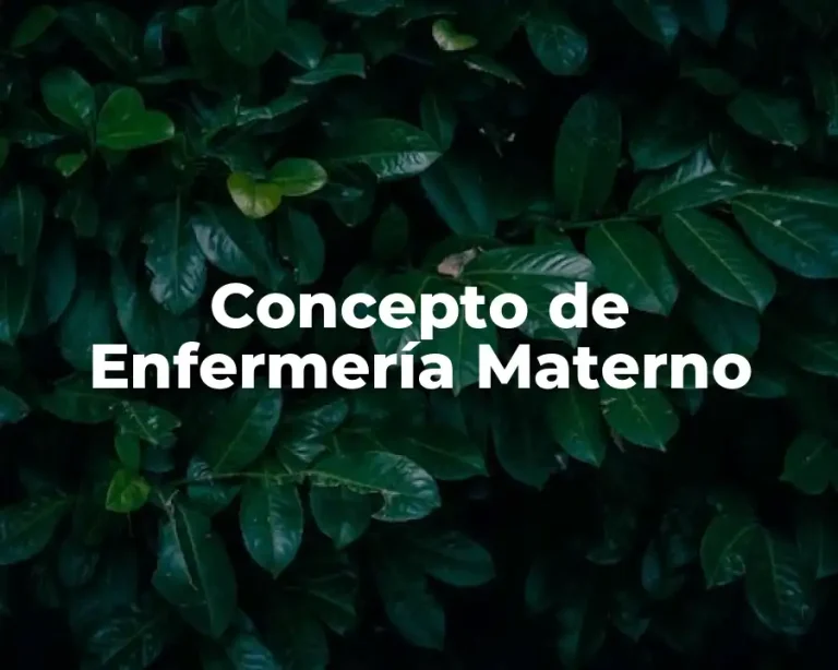 Concepto de Enfermería Materno