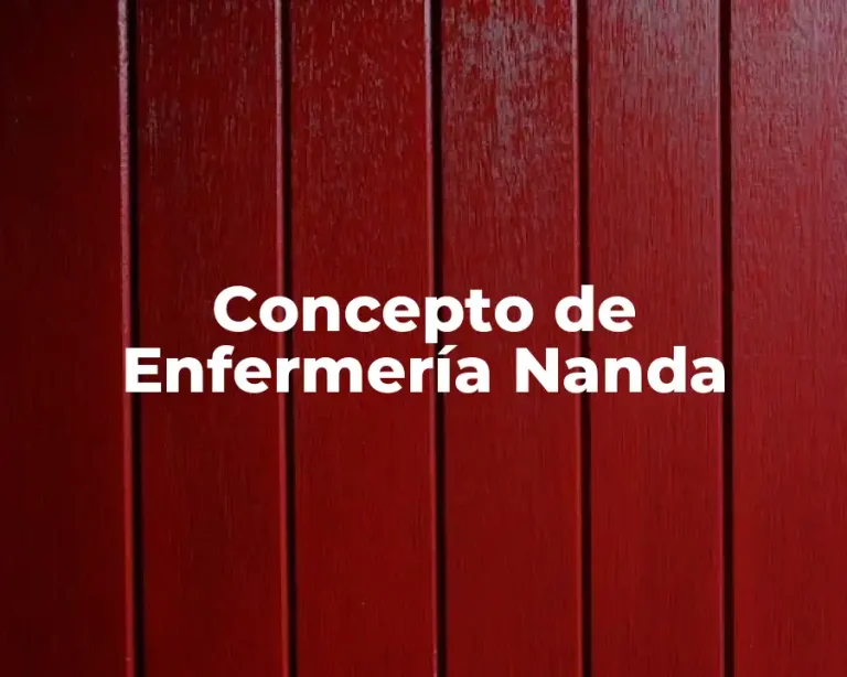 Concepto de Enfermería Nanda