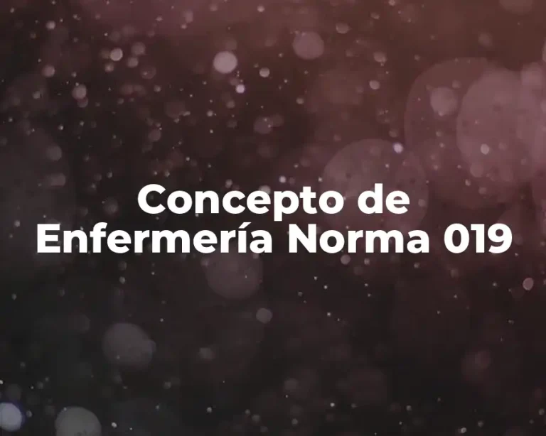 Concepto de Enfermería Norma 019