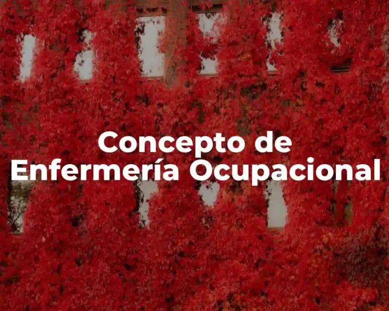 Concepto de Enfermería Ocupacional