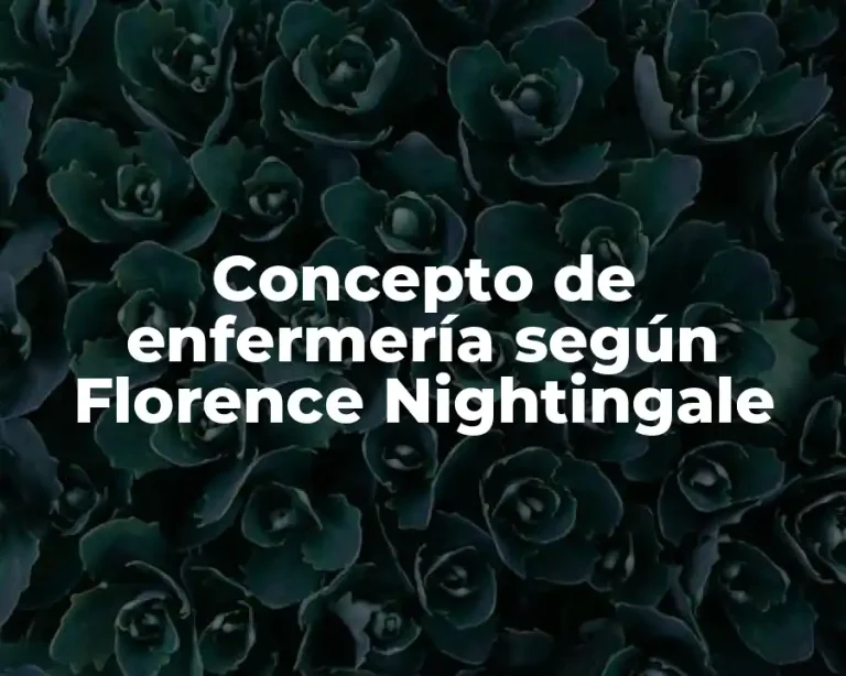 Concepto de enfermería según Florence Nightingale