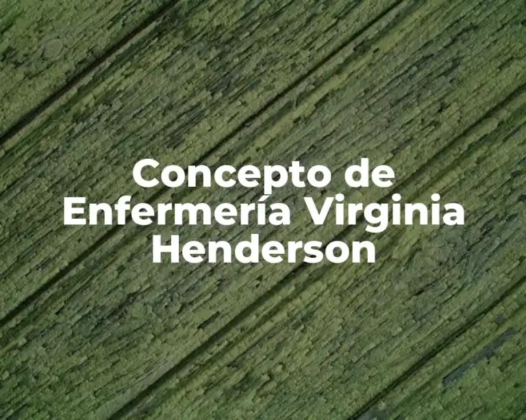 Concepto de Enfermería Virginia Henderson