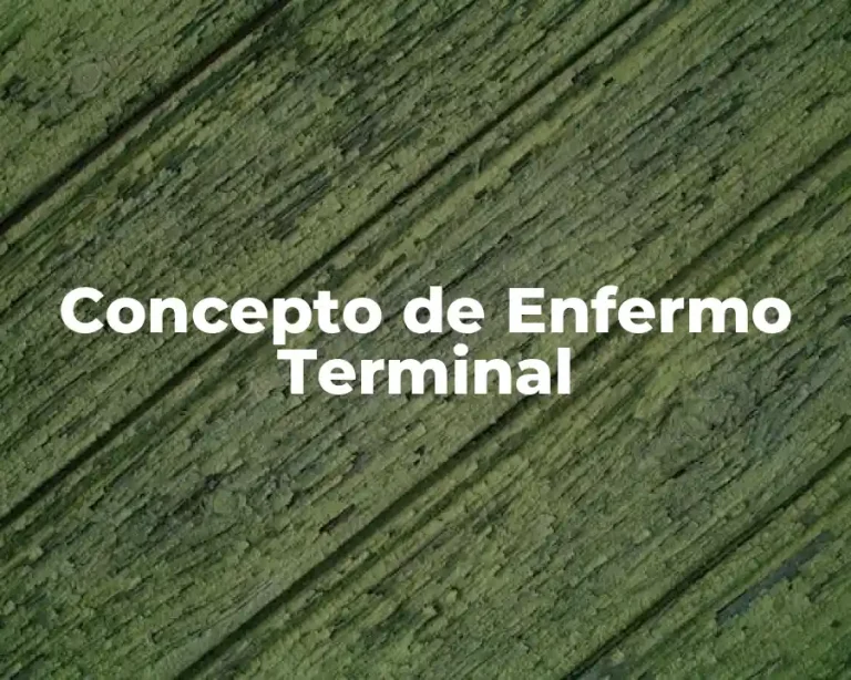 Concepto de Enfermo Terminal