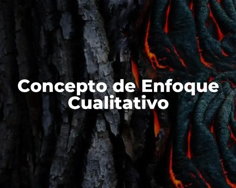 Concepto de Enfoque Cualitativo