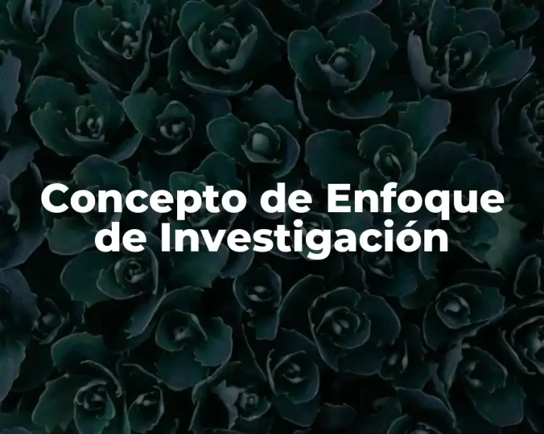Concepto de Enfoque de Investigación
