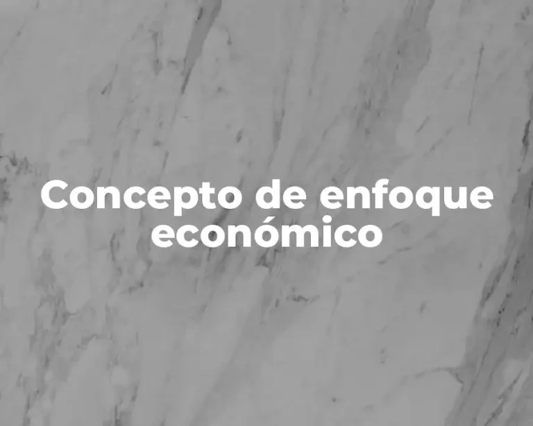 Concepto de enfoque económico