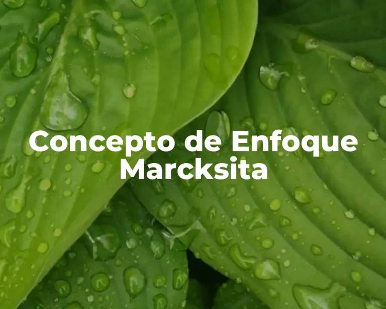 Concepto de Enfoque Marcksita