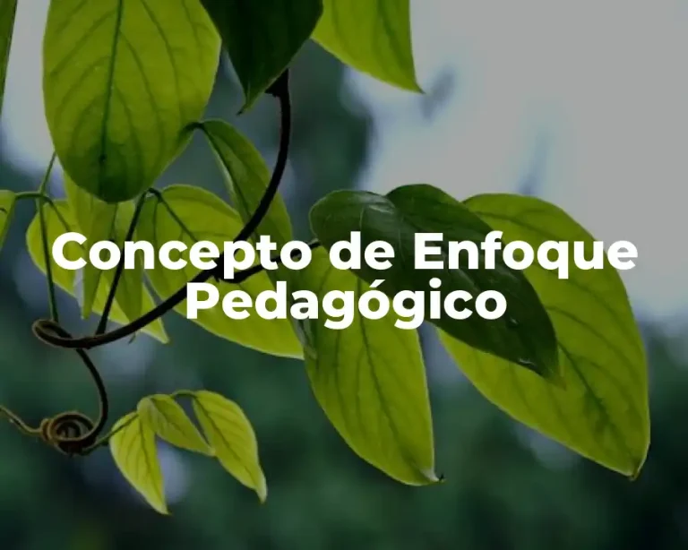 Concepto de Enfoque Pedagógico