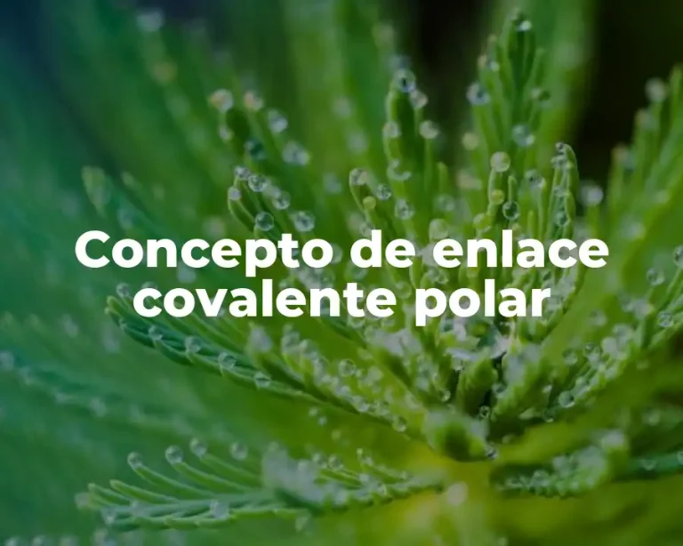Concepto de enlace covalente polar