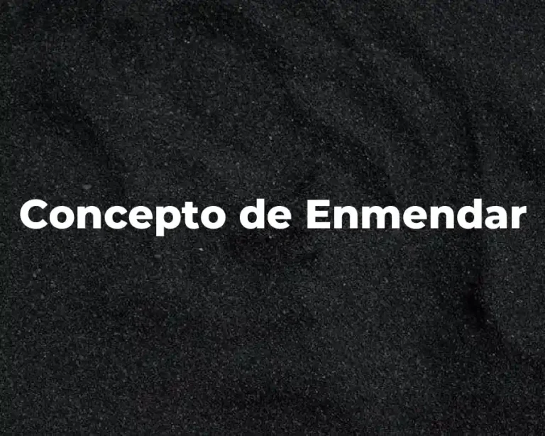 Concepto de Enmendar