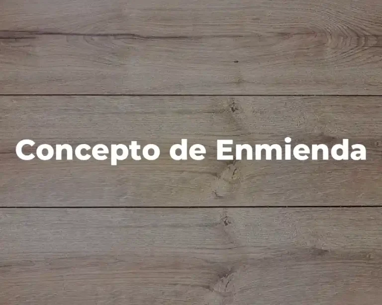 Concepto de Enmienda
