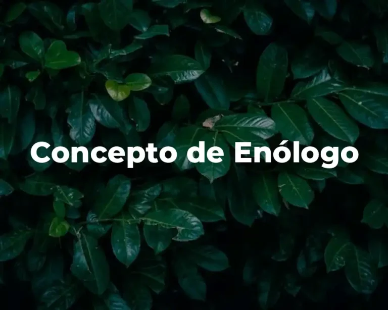 Concepto de Enólogo