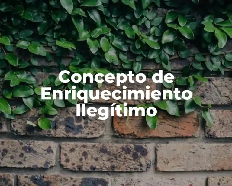Concepto de Enriquecimiento Ilegítimo