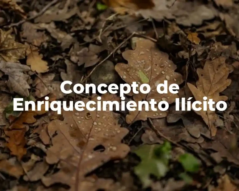 Concepto de Enriquecimiento Ilícito