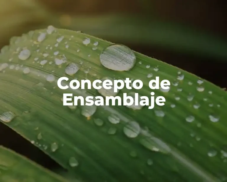 Concepto de Ensamblaje