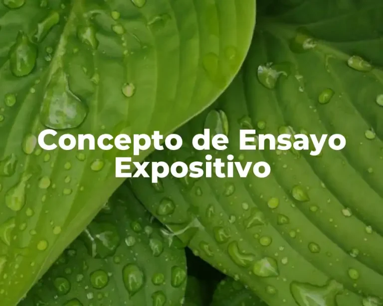 Concepto de Ensayo Expositivo