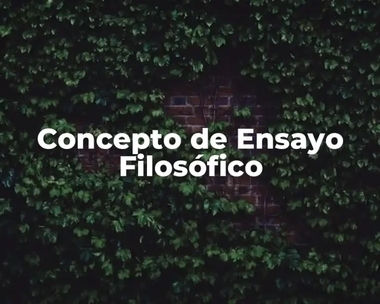 Concepto de Ensayo Filosófico
