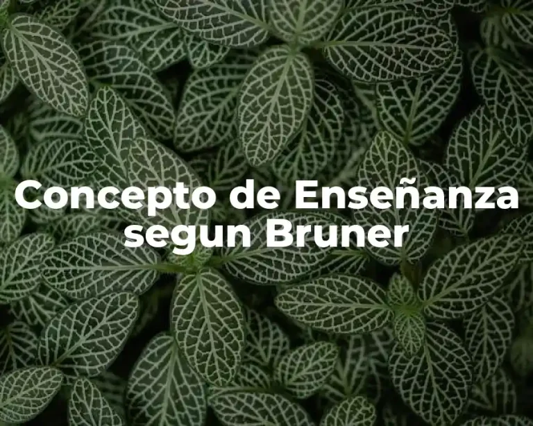 Concepto de Enseñanza segun Bruner