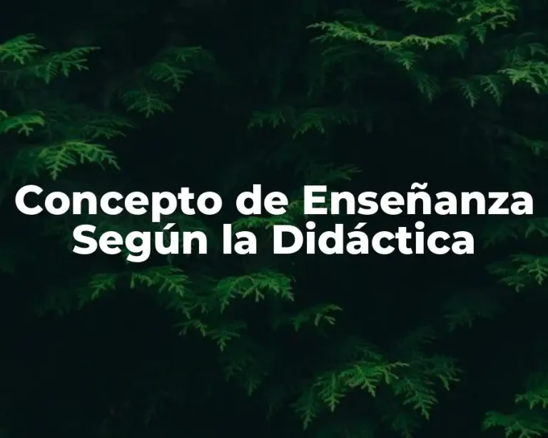 Concepto de Enseñanza Según la Didáctica