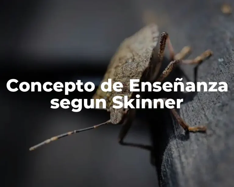 Concepto de Enseñanza segun Skinner