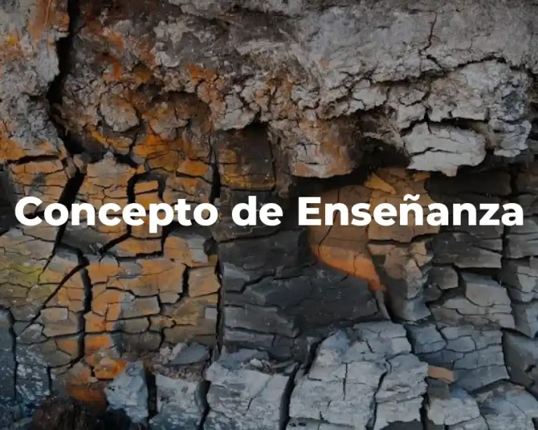Concepto de Enseñanza