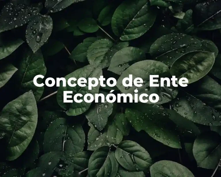 Concepto de Ente Económico