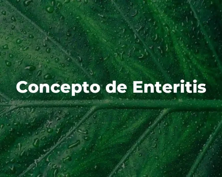 Concepto de Enteritis
