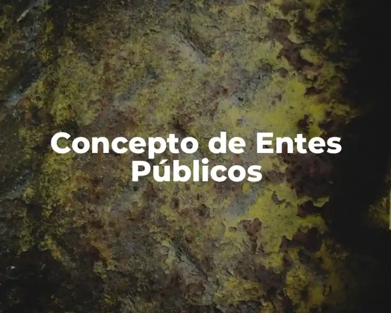Concepto de Entes Públicos