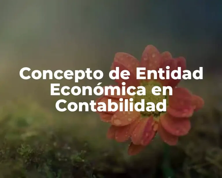 Concepto de Entidad Económica en Contabilidad