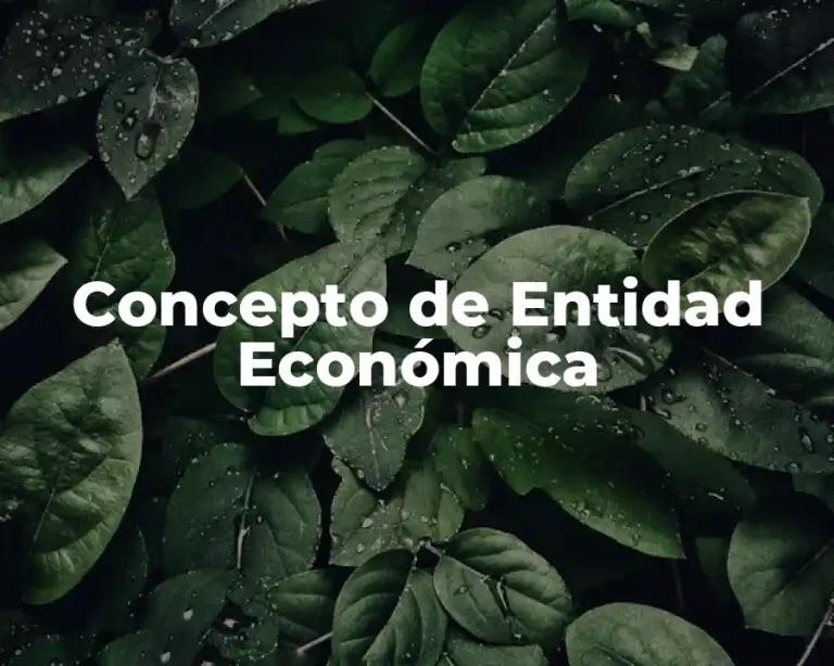 Concepto de Entidad Económica