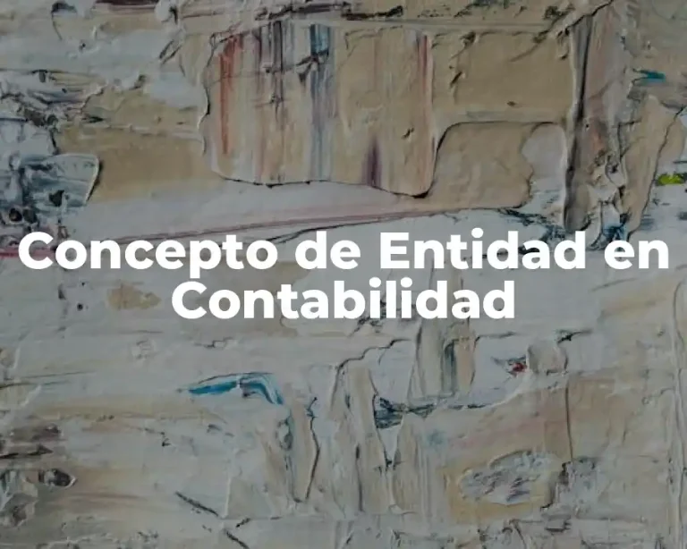Concepto de Entidad en Contabilidad