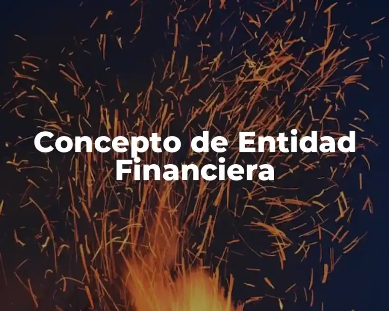 Concepto de Entidad Financiera
