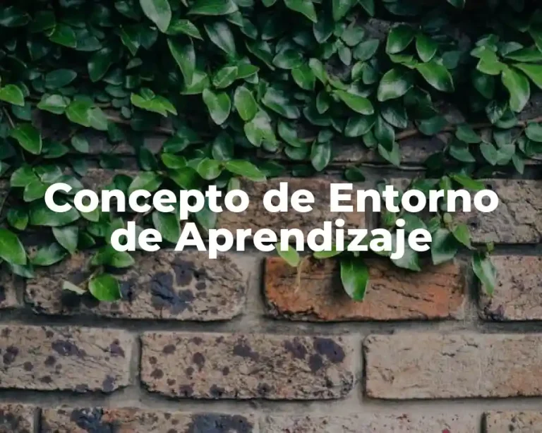 Concepto de Entorno de Aprendizaje