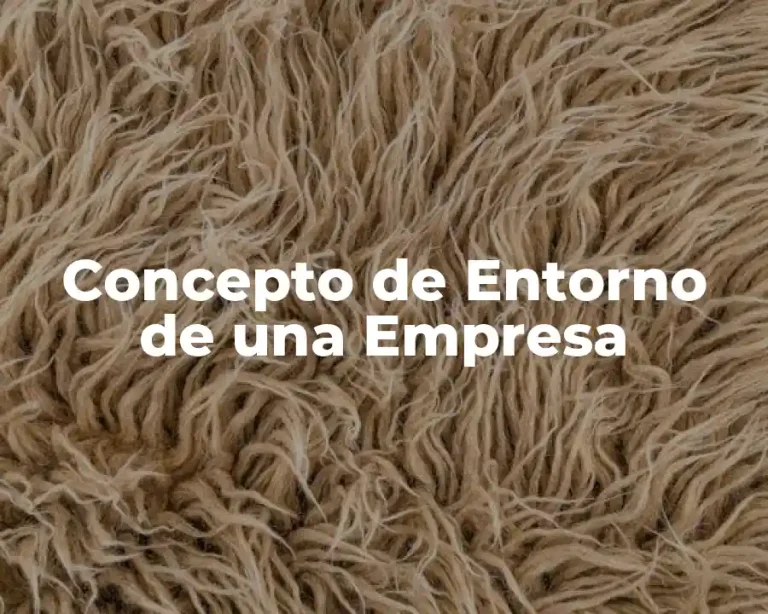 Concepto de Entorno de una Empresa