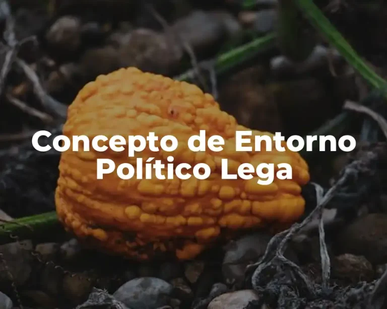 Concepto de Entorno Político Lega