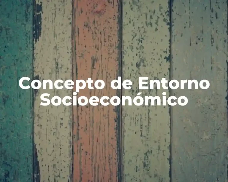 Concepto de Entorno Socioeconómico