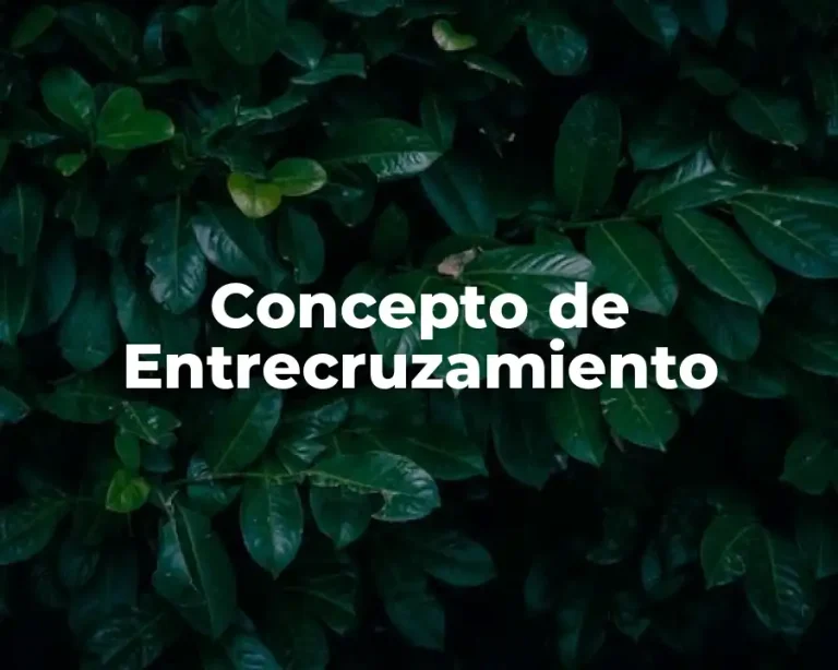 Concepto de Entrecruzamiento