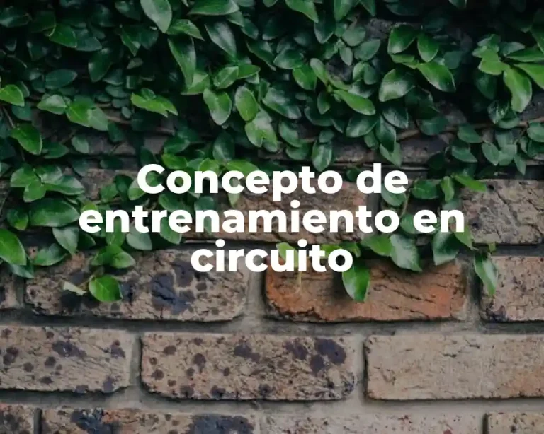 Concepto de entrenamiento en circuito