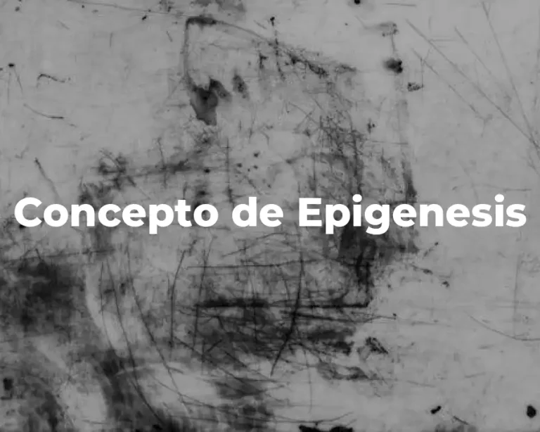 Concepto de Epigenesis