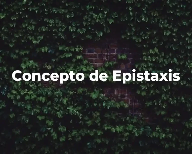 Concepto de Epistaxis