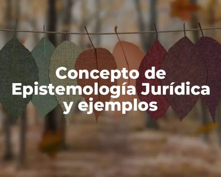 Concepto de Epistemología Jurídica y ejemplos