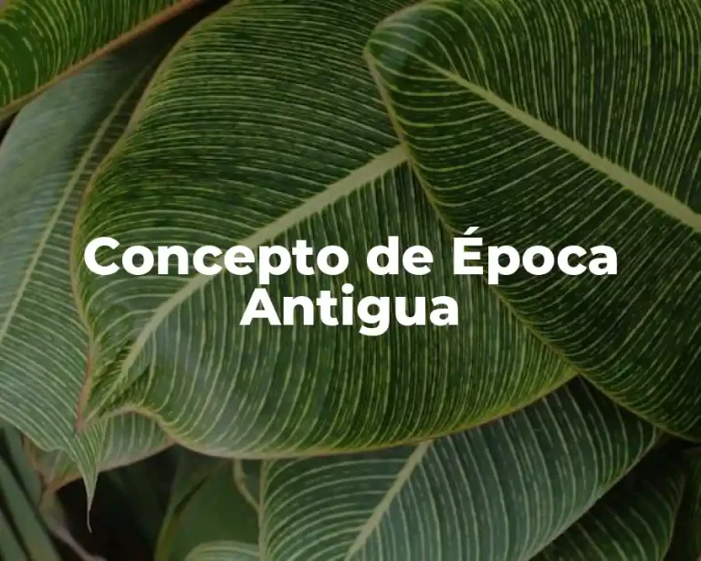 Concepto de Época Antigua