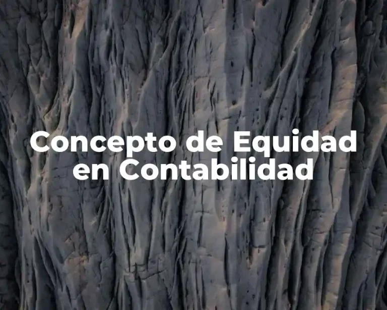 Concepto de Equidad en Contabilidad