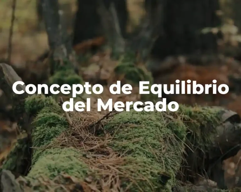 Concepto de Equilibrio del Mercado